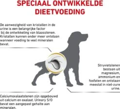 Royal Canin Hond Urinary SO 13 Kg - -Trixie Verkoopwinkel 1200x1083 5