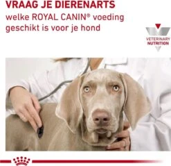 Royal Canin Hond Urinary SO 13 Kg - -Trixie Verkoopwinkel 1200x1161 2