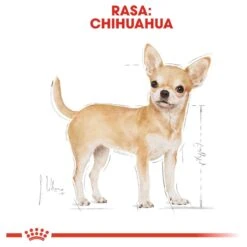 Royal Canin Chihuahua 3 KG -Trixie Verkoopwinkel 1200x1200 581