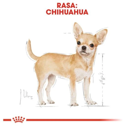 Royal Canin Chihuahua 3 KG -Trixie Verkoopwinkel 1200x1200 581