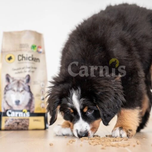 Carnis Chicken Small Geperst Hondenvoer 12,5 Kg - Hond -Trixie Verkoopwinkel 1200x1200 588