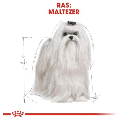 Royal Canin Maltese Adult 1.5 KG -Trixie Verkoopwinkel 1200x1200 593