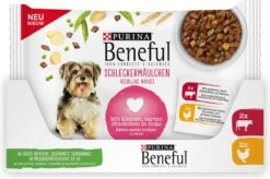 Beneful Pouch - Hondenvoer Kip & Rund In Saus - 40 X 100 G -Trixie Verkoopwinkel 1200x796