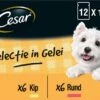 Cesar Selectie In Gelei Maaltijdzakjes Honden Natvoer - Vlees En Groenten In Gelei - 48 X 100g -Trixie Verkoopwinkel 1200x861