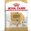 Royal Canin Labrador Retriever Adult 12 KG -Trixie Verkoopwinkel 880x1200