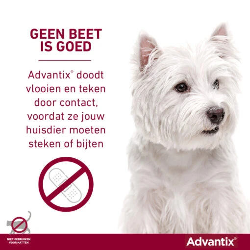 Advantix 400 6 Pipetten -Trixie Verkoopwinkel Advantix geenbeetisgoed 1