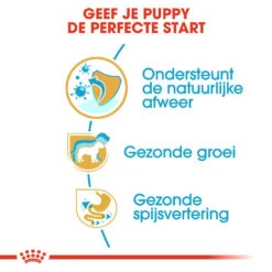 Royal Canin Hondenvoer Jack Russell Puppy 1,5 Kg -Trixie Verkoopwinkel royal canin jack russell terrier junior pup hond jack russell terrier hero usp